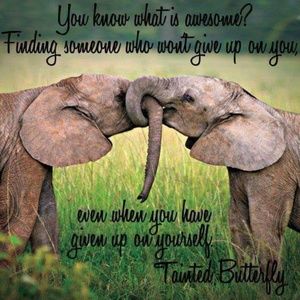 Meet your Posher, Alicia